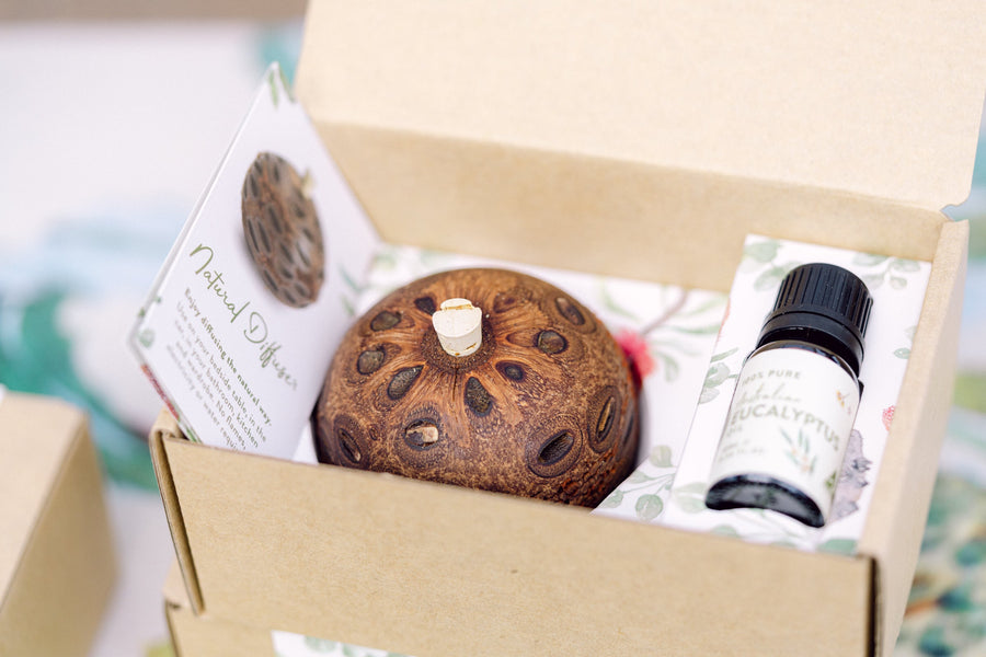 Why Native Banksia Makes a Sustainable Gift