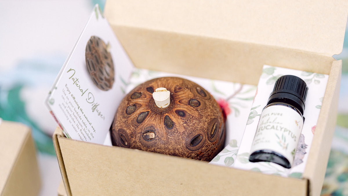 A banksia pod diffuser and eucalyptus oil packed in a recyclable kraft gift box