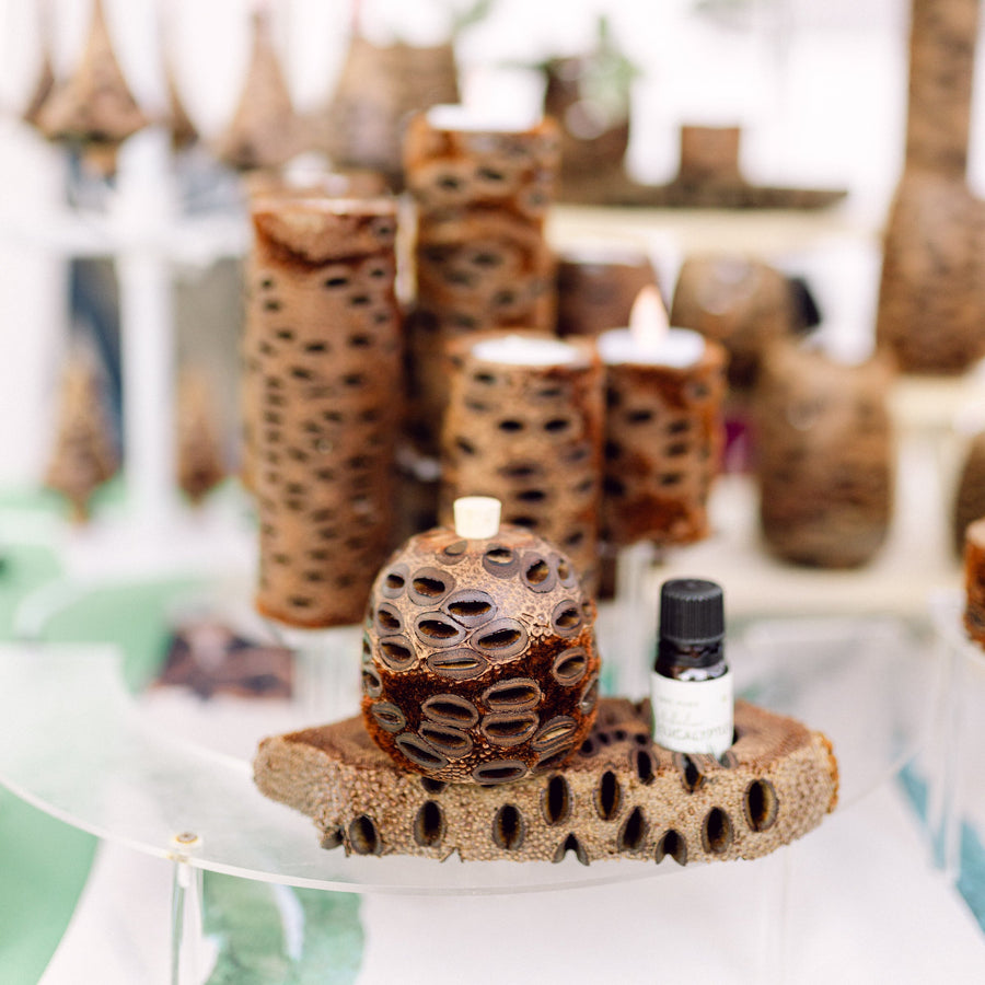 Best Essential Oils for Your Banksia Diffuser