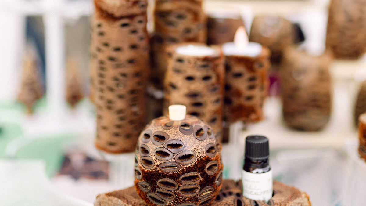 Banksia pod diffusers and a bottle of pure Australian essential oil on a display shelf
