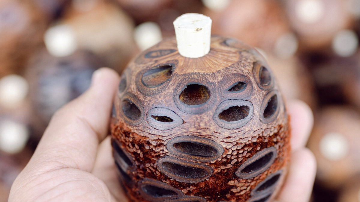A hand holding a natural banksia pod diffuser, showing its porous cells and cork stopper