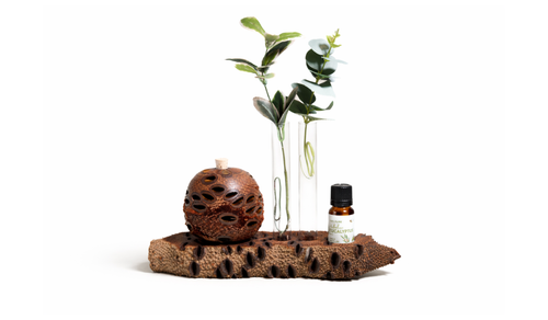 Aroma Banksia Medium set