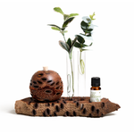 Aroma Banksia Medium set