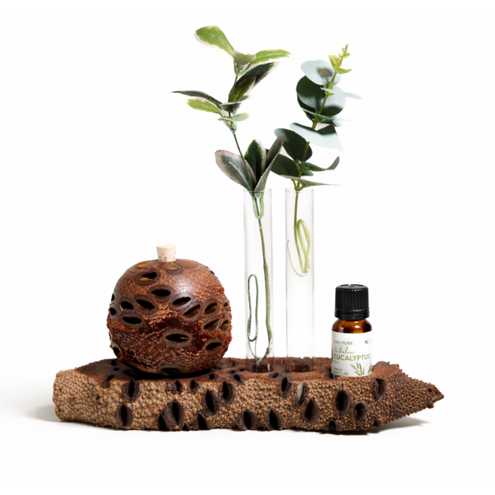 Aroma Banksia Medium set