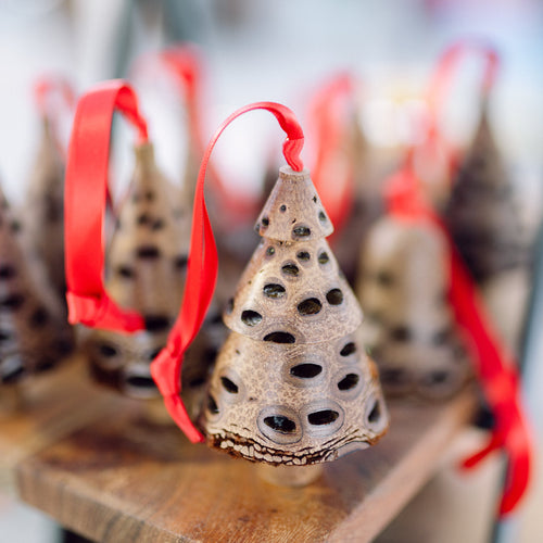 Tiered banksia pod Christmas decorations with red ribbons, handmade from Australian native seed pods
