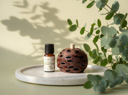 Mini Banksia Pod Gift Set | Eucalyptus Oil | Australian Made