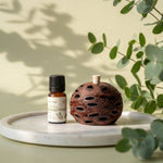 Mini Banksia Pod Gift Set | Eucalyptus Oil | Australian Made