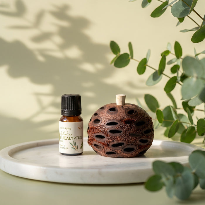 Mini Banksia Pod Gift Set | Eucalyptus Oil | Australian Made