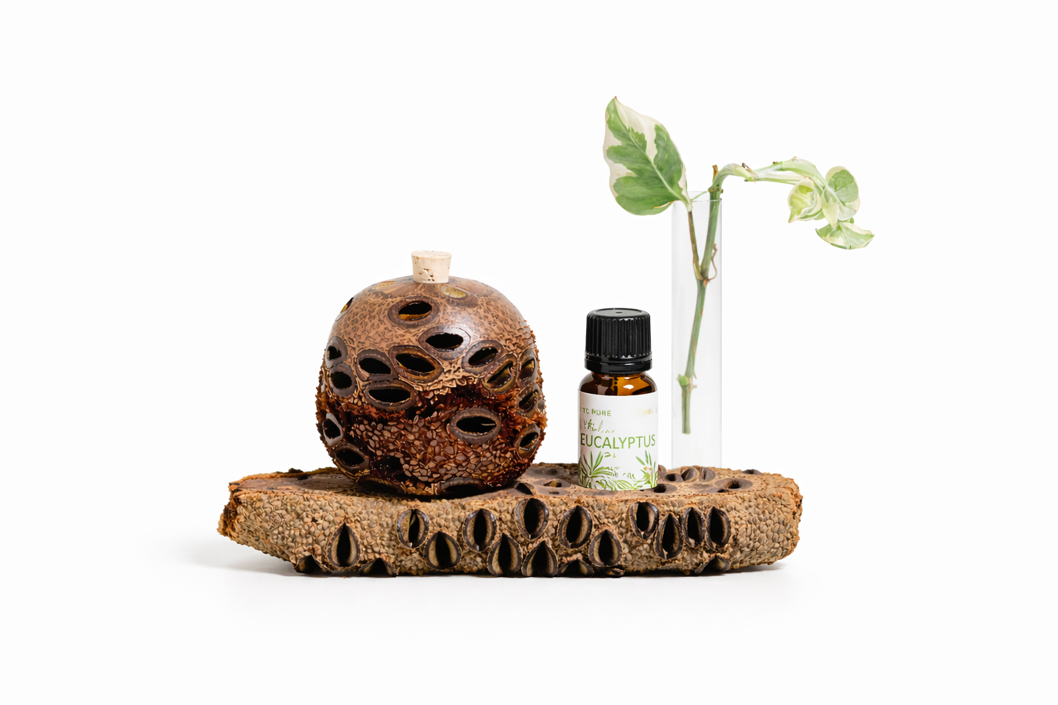 Aroma Banksia Medium set