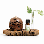 Aroma Banksia Medium set