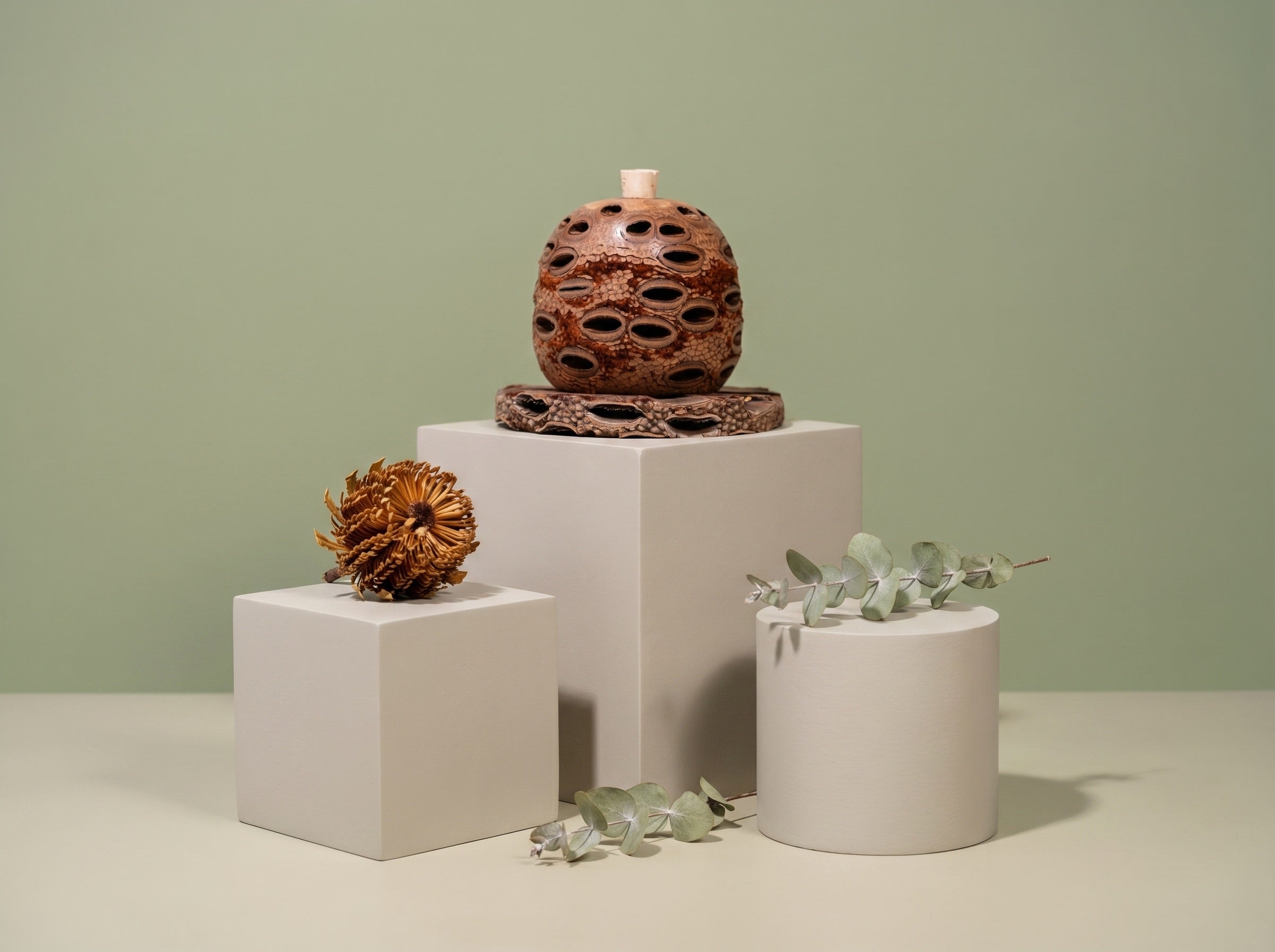 Medium Banksia Pod Diffuser | Natural Coaster | Australian Made