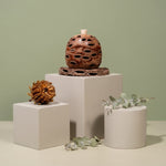 Medium Banksia Pod Diffuser | Natural Coaster | Australian Made