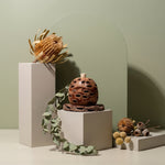 Medium Banksia Pod Diffuser | Natural Coaster | Australian Made