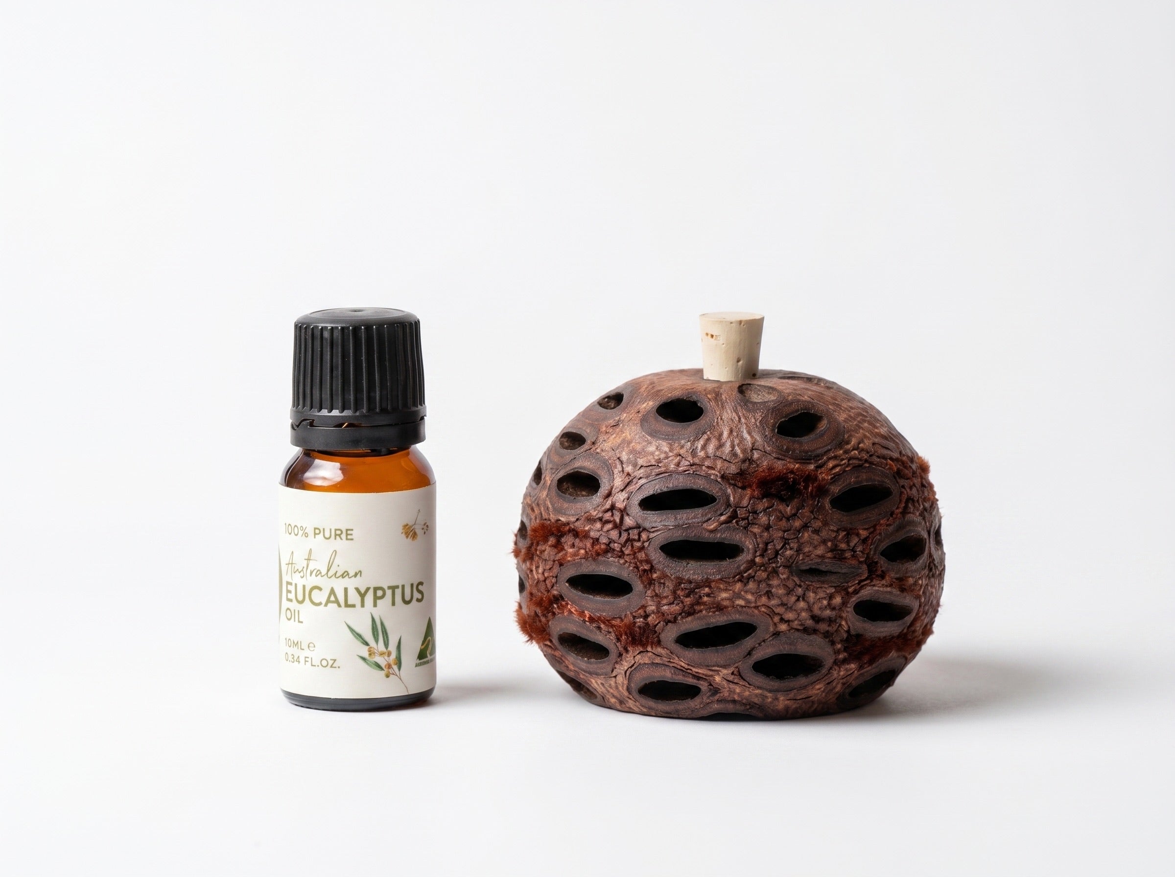 Mini Banksia Pod Gift Set | Eucalyptus Oil | Australian Made