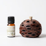 Mini Banksia Pod Gift Set | Eucalyptus Oil | Australian Made