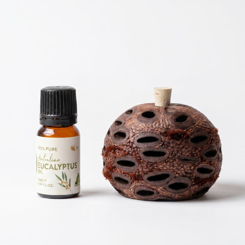Mini Banksia Pod Gift Set | Eucalyptus Oil | Australian Made