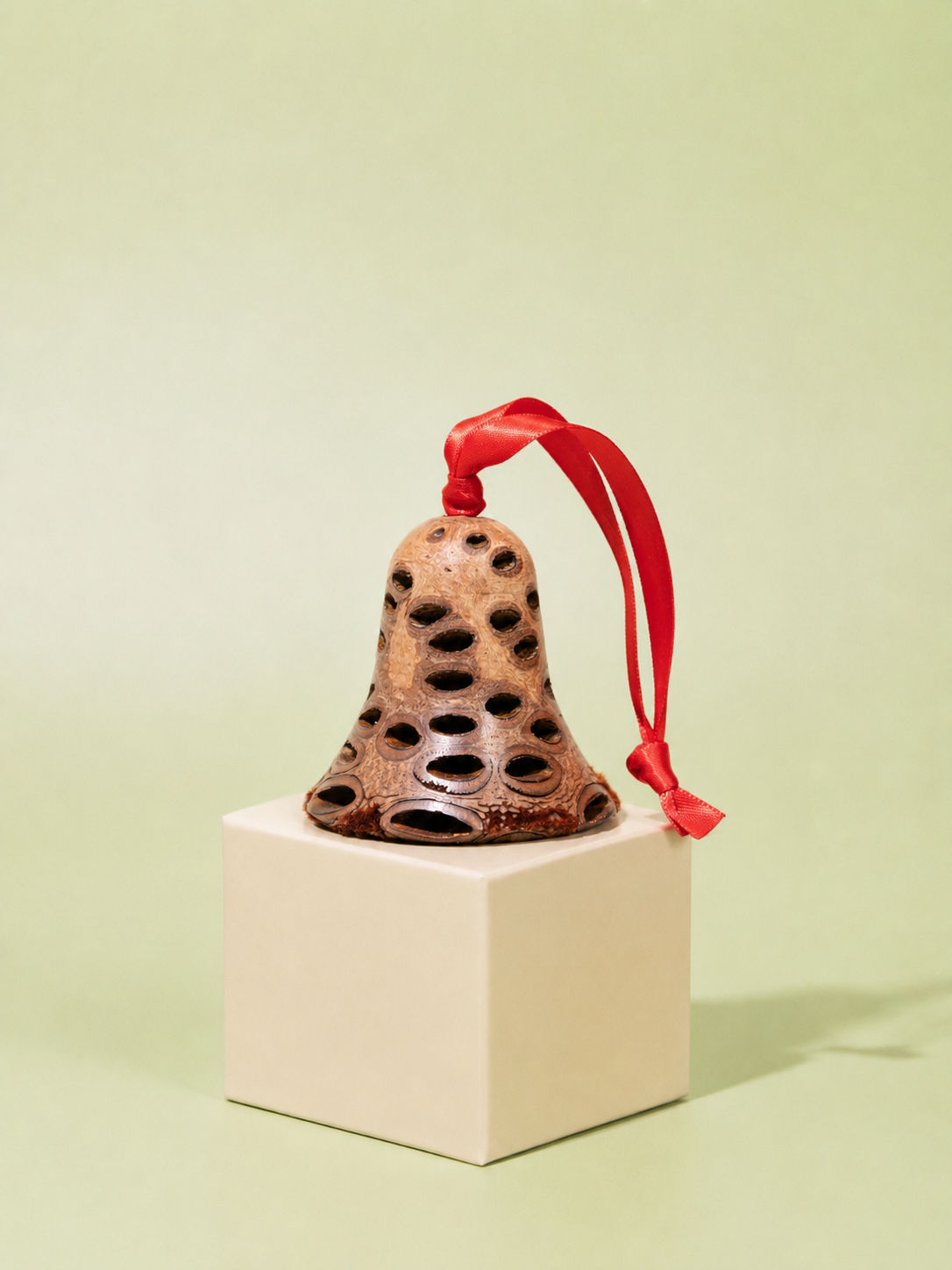 Handcrafted Banksia seed pod bell Christmas decoration with red ribbon on sage green