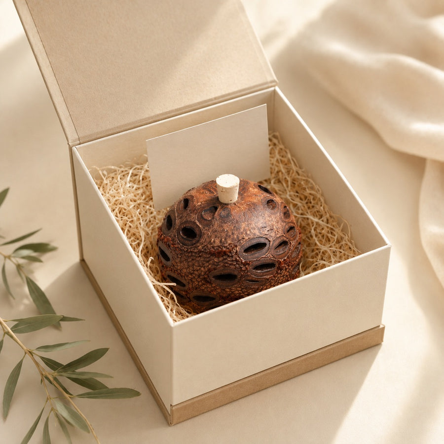 Single Banksia pod diffuser in a premium presentation gift box